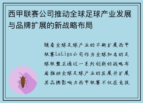 西甲联赛公司推动全球足球产业发展与品牌扩展的新战略布局