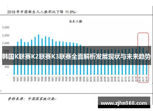 韩国K联赛K2联赛K3联赛全面解析发展现状与未来趋势