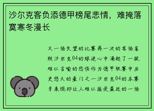 沙尔克客负添德甲榜尾悲情，难掩落寞寒冬漫长